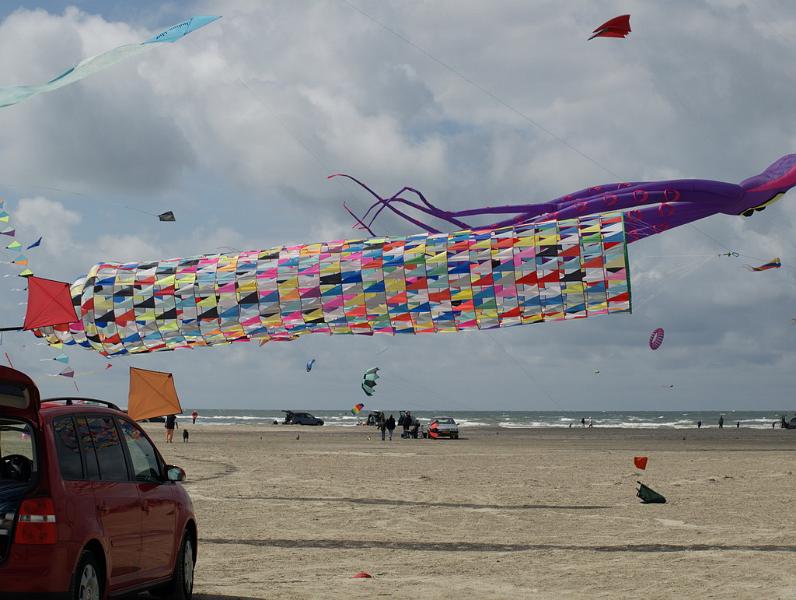 Fanø 2009 26.jpg